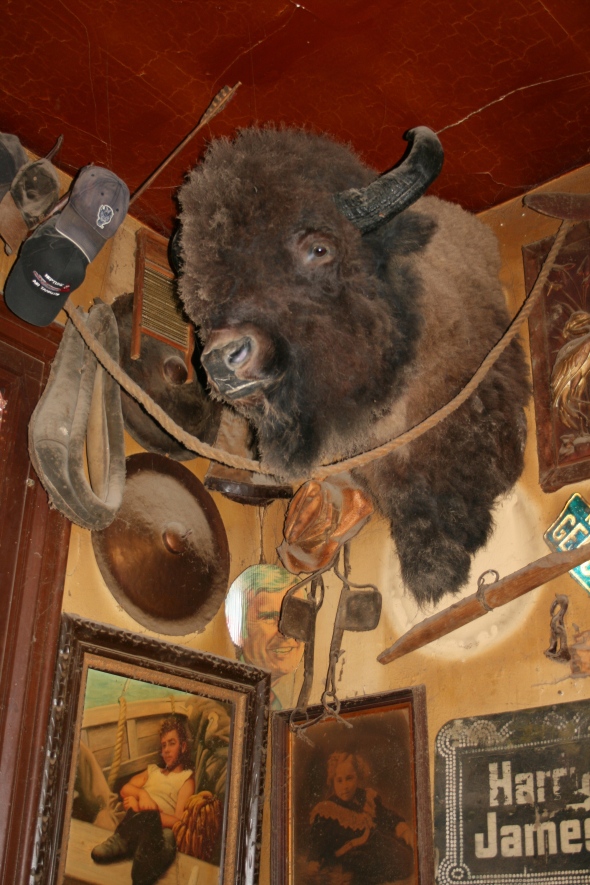 Genoa buffalo